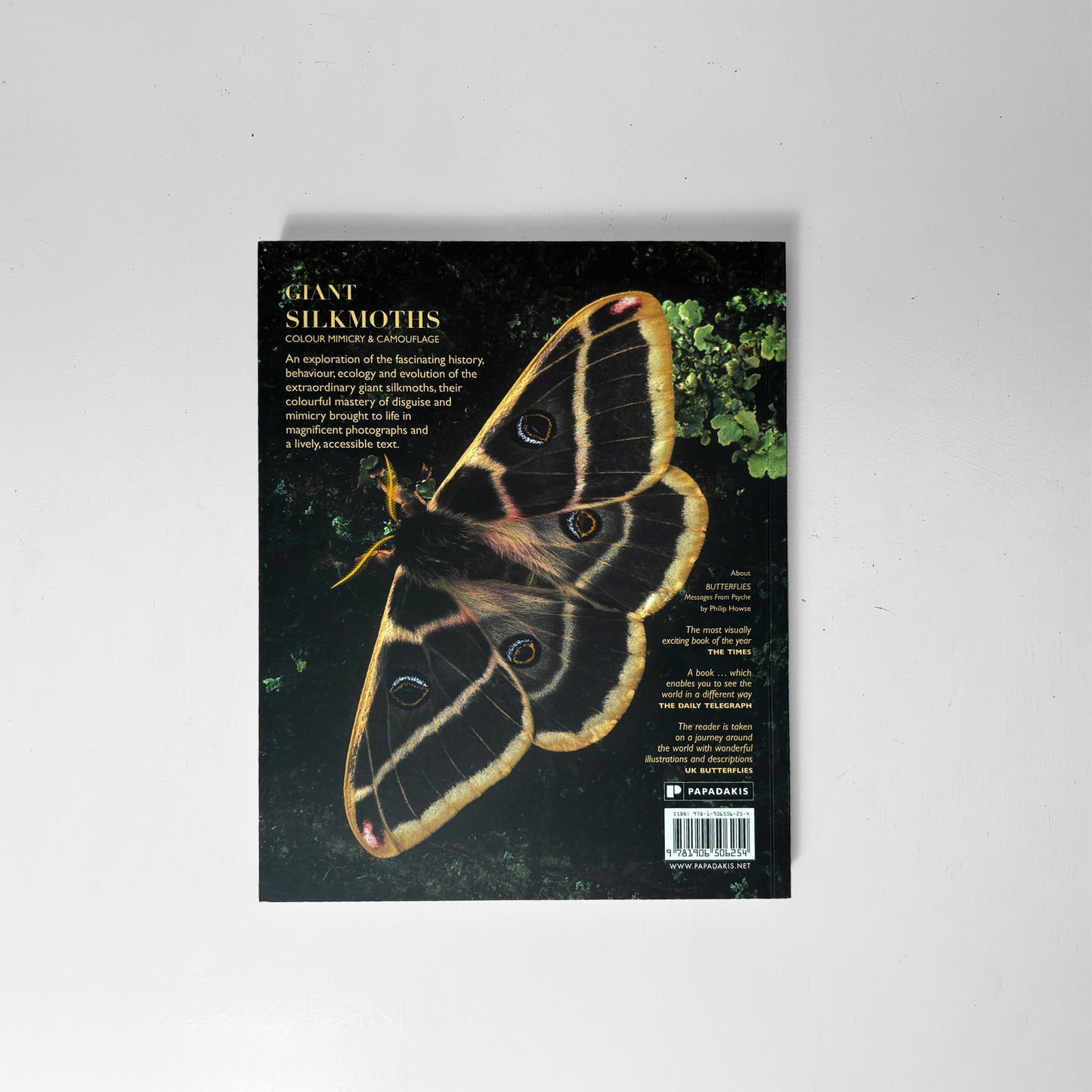 Giant Silkmoths –  Philip Howse & Kirby Wolfe