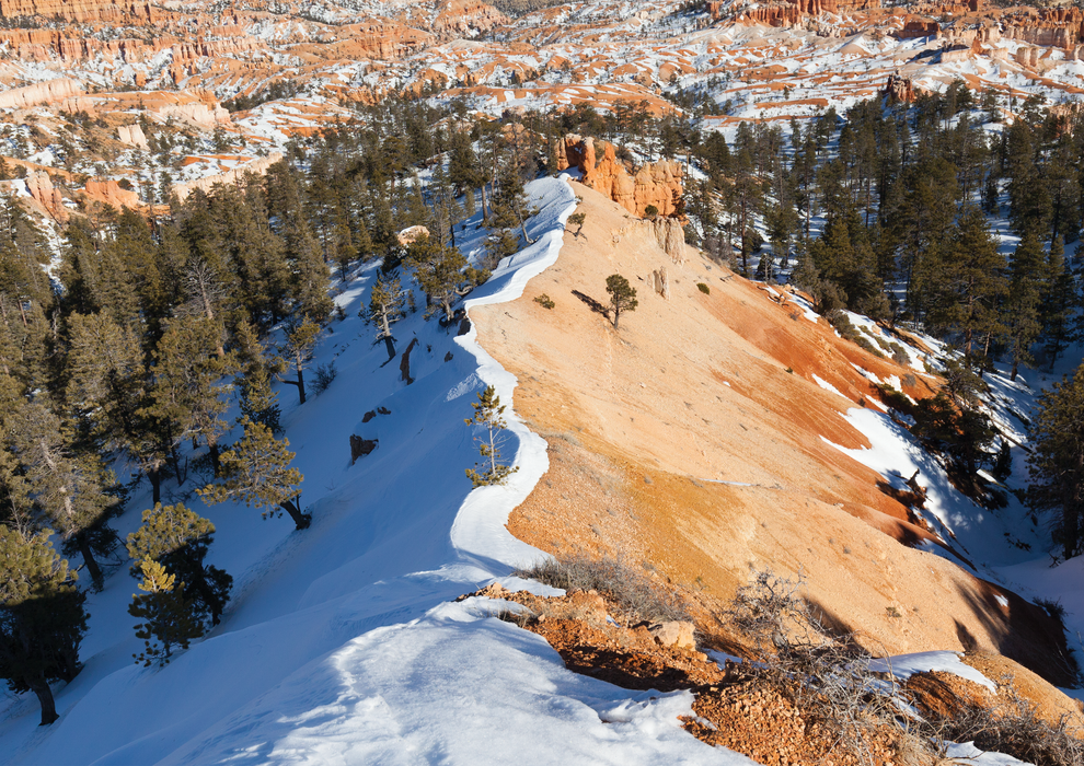 Bryce Canyon, Utah, USA
