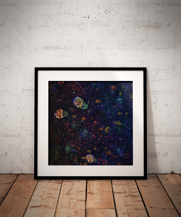 Ceiba pentandra (ceiba)