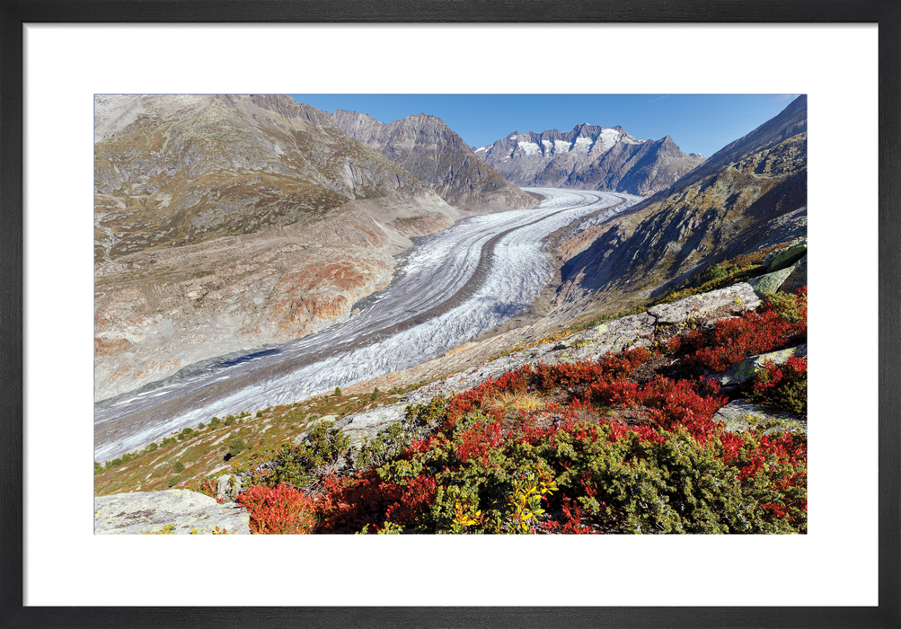 Grosser Aletschgletscher, Berner Alpen, Switzerland