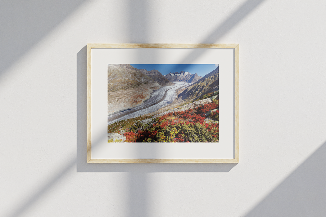 Grosser Aletschgletscher, Berner Alpen, Switzerland