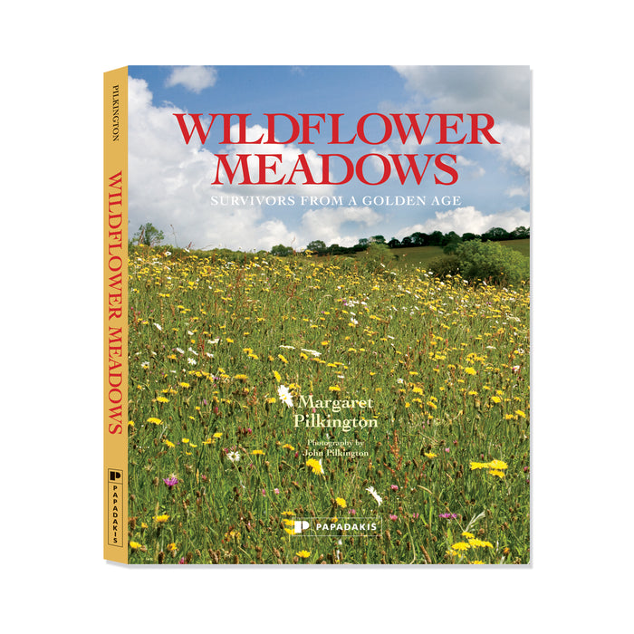 Wildflower Meadows – Margaret Pilkington